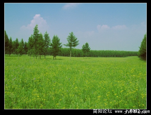 克什克腾 草原.jpg