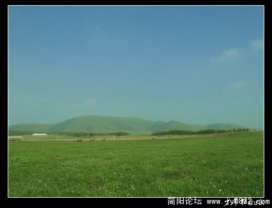 红山军马场 草原.jpg