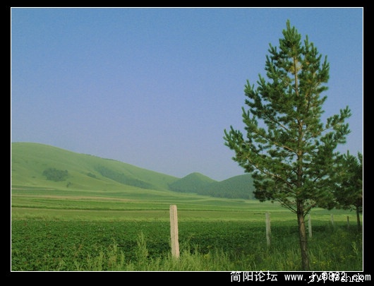 红山 军马场草原.jpg