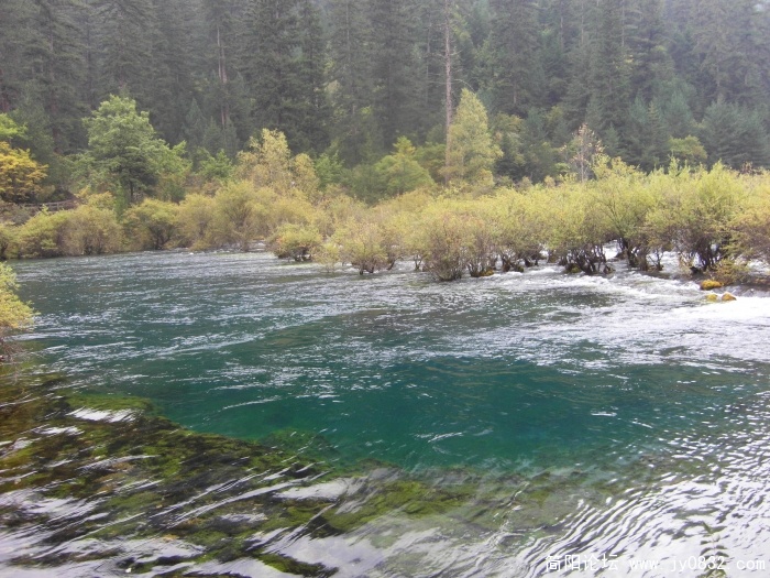SDC10380.JPG