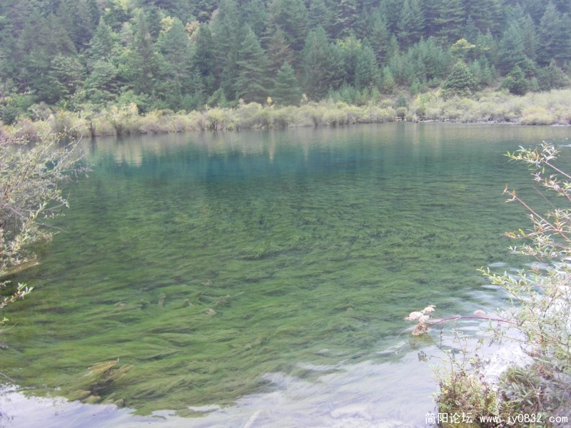 SDC10424.JPG