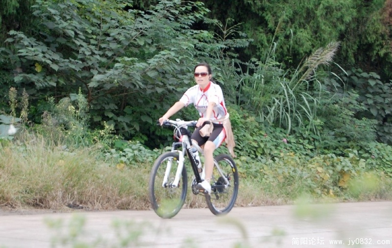 BigBull_DSC_0805.jpg