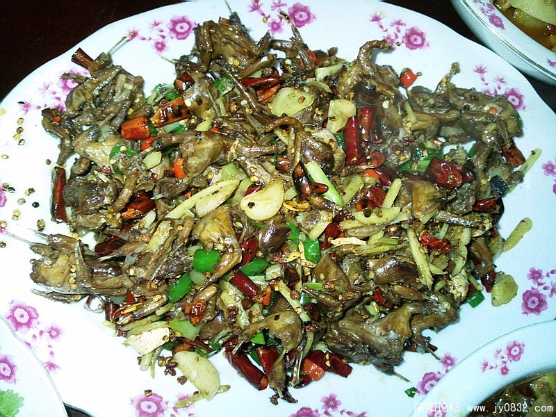 照片2474.jpg