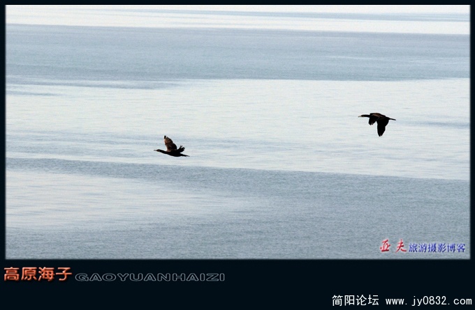 高原海子——14.jpg