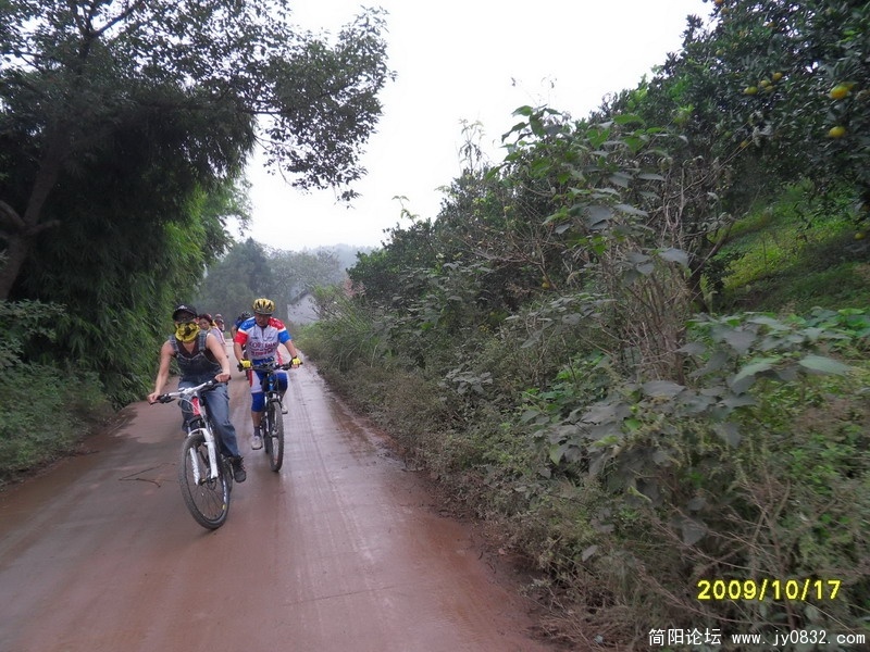SDC11987.JPG