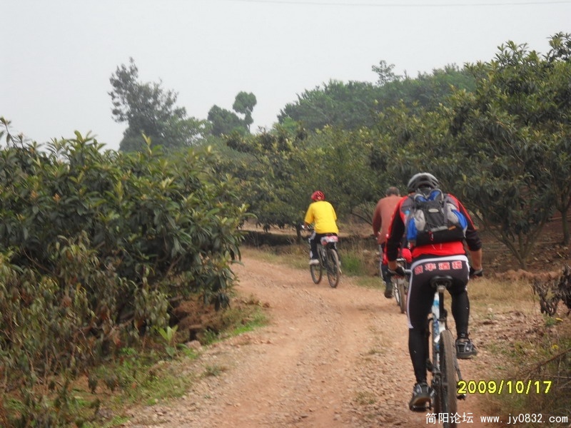 SDC12050.JPG