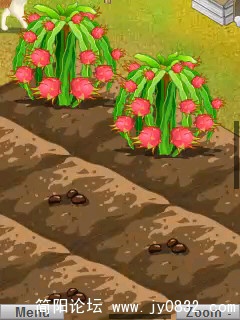 010.jpg