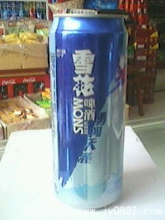 勇闯.jpg