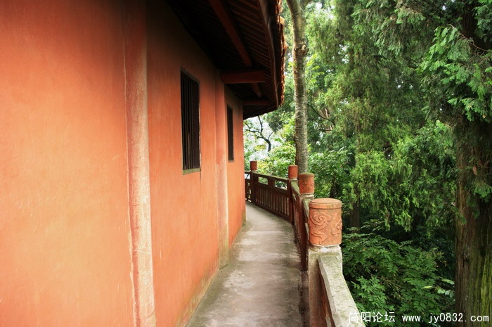 IMGP2707.jpg