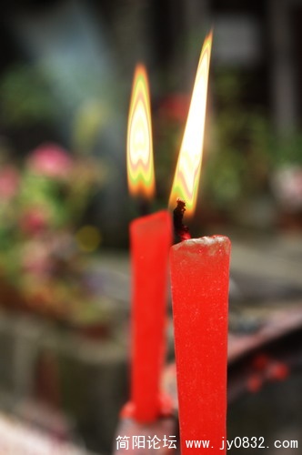 IMGP2721.jpg