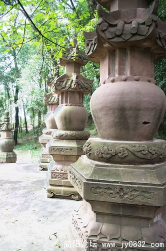 IMGP2735.jpg