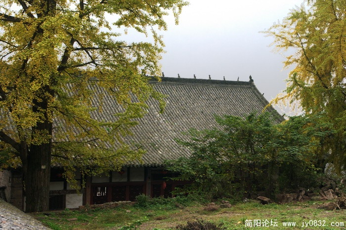 IMGP2738.jpg