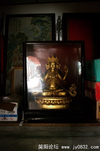 IMGP2765.jpg