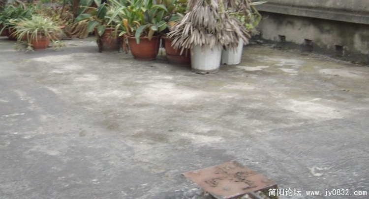 版主屋面1.jpg
