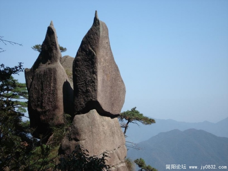 一对企鹅