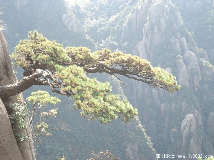 奇峰怪石名不虚传