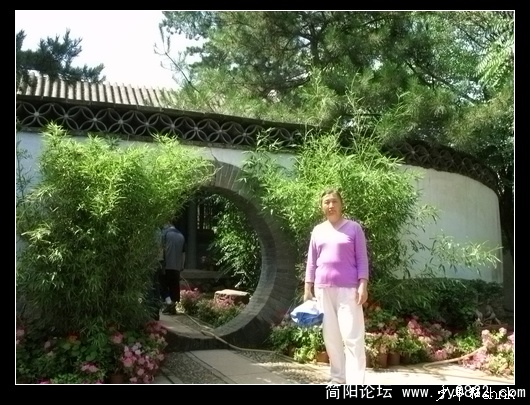 清枫绿屿.jpg