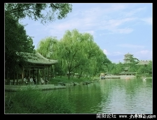 如意（洲）金山.jpg
