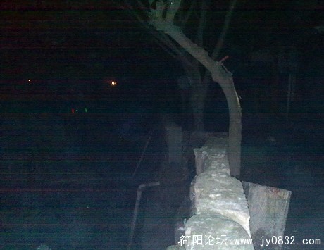 200910311329.jpg