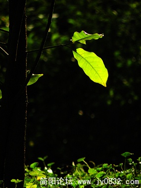 DSCN3305.jpg