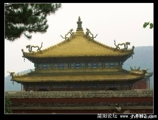 妙高庄严殿 金顶.jpg