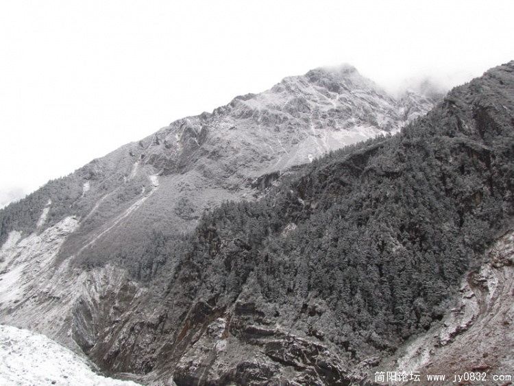 IMG_0833_调整大小.JPG