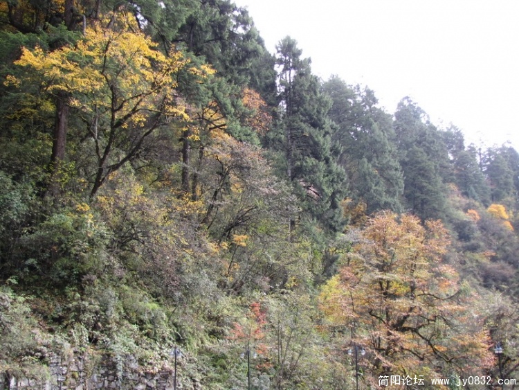 IMG_1066_调整大小.JPG