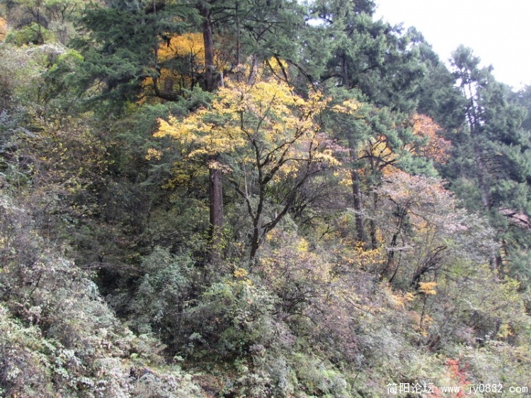 IMG_1076_调整大小.JPG