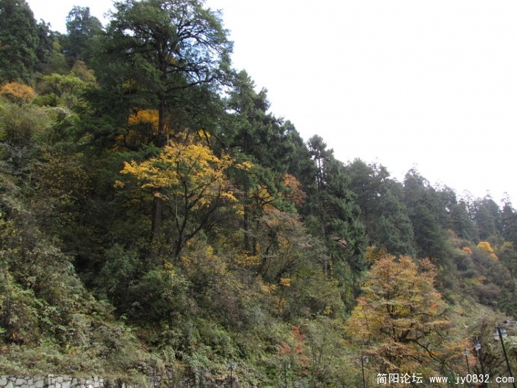IMG_1077_调整大小.JPG