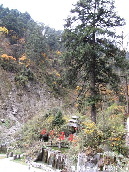 IMG_1079_调整大小.JPG