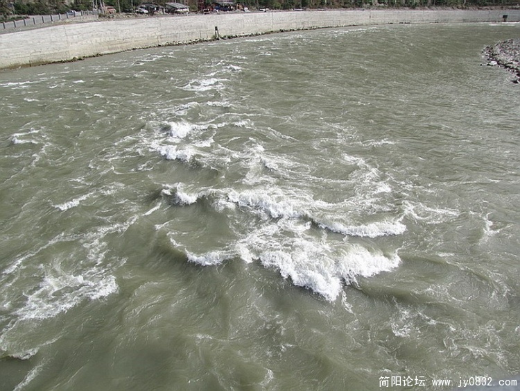 IMG_1131_调整大小.jpg