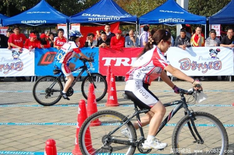 BigBull_DSC_1954.JPG