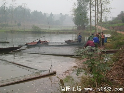DSCI0812.JPG