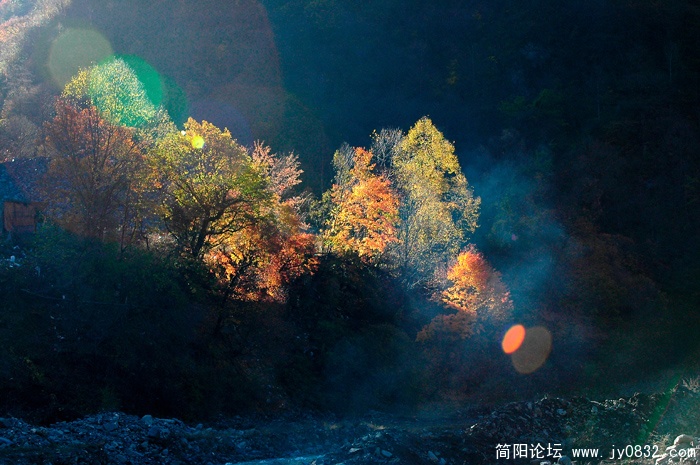 黑水奶子沟红叶01.jpg