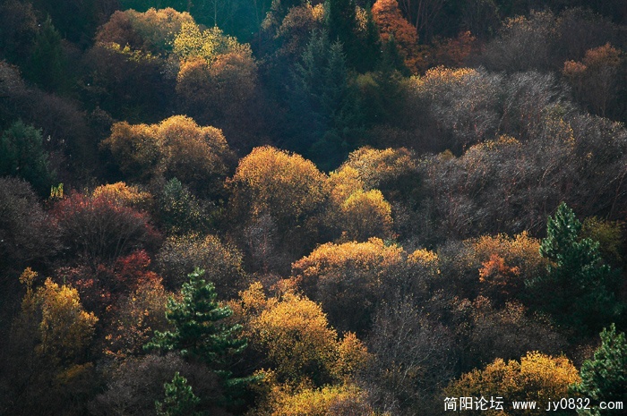 黑水奶子沟红叶08.jpg