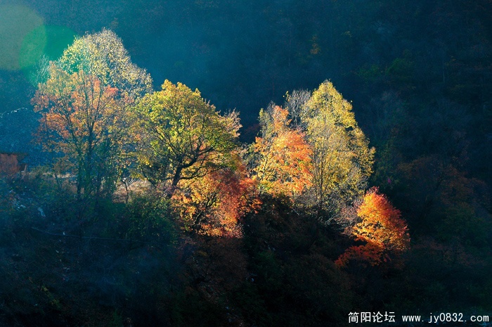 黑水奶子沟红叶02.jpg