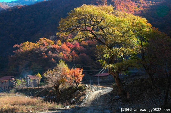 黑水奶子沟红叶03.jpg