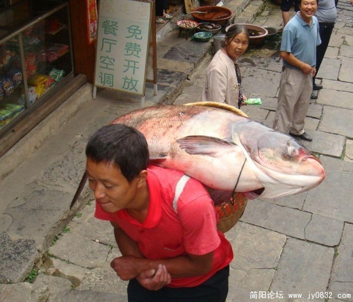 未命名.jpg