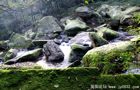 nEO_IMG_IMG_1674.jpg