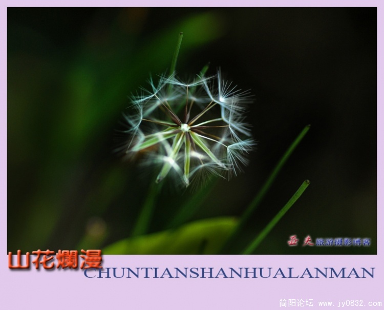 山花烂漫——05副本.jpg