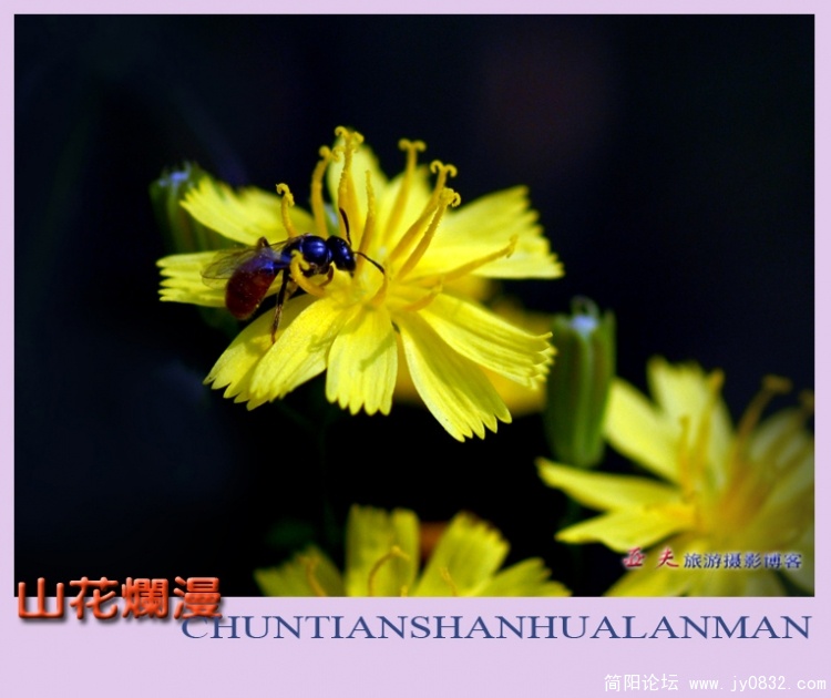 山花烂漫——07副本.jpg