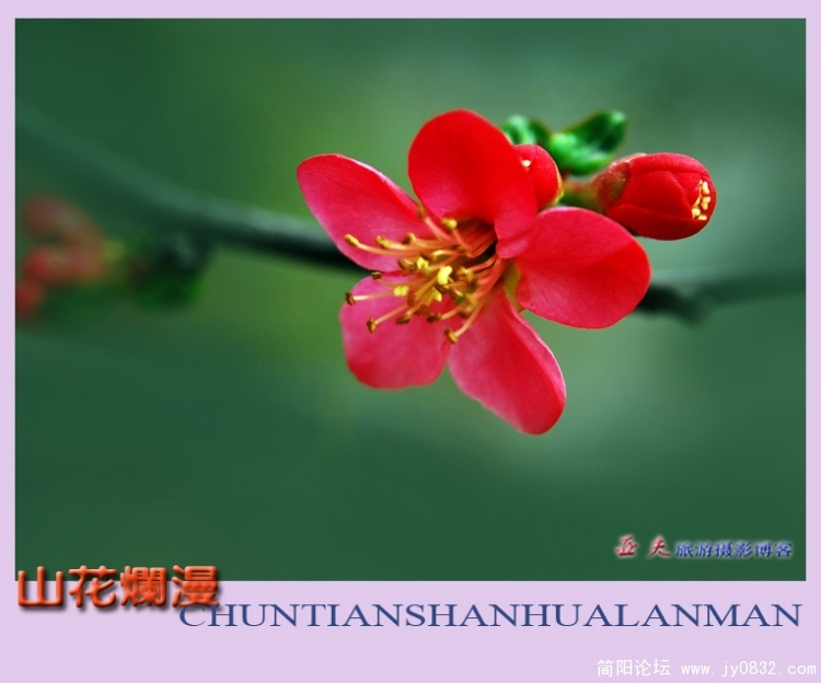 山花烂漫——15.jpg