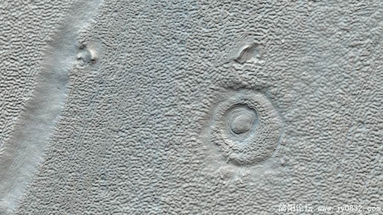 24159196.jpg