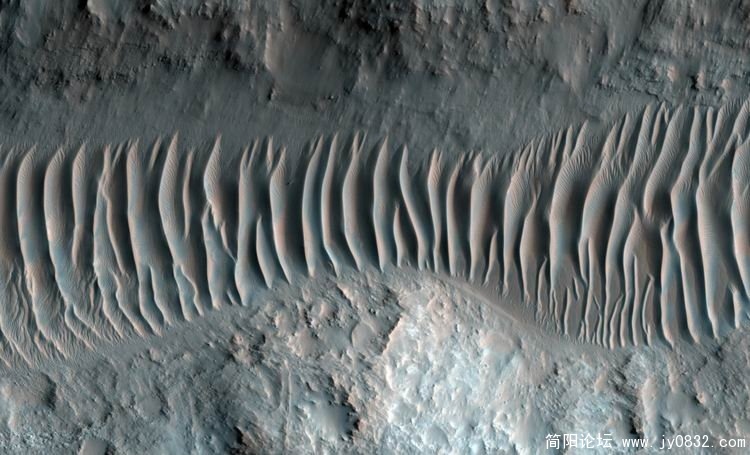 24159251.jpg