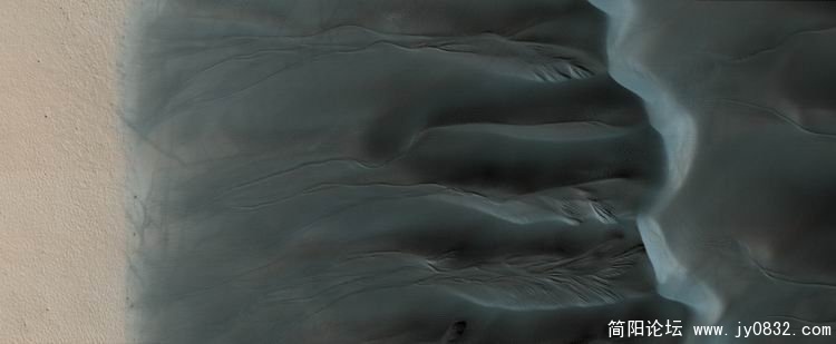 24159275.jpg