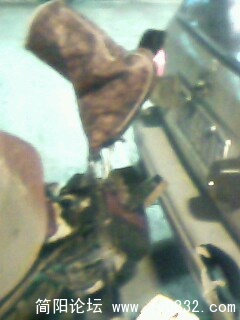 IMG0029A.jpg