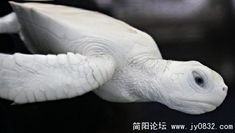 B07.jpg