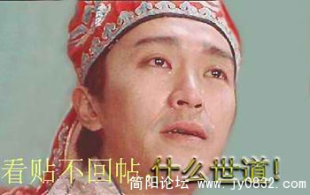 D41.jpg