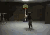 E02.gif