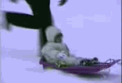 E08.gif